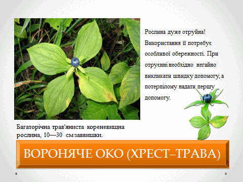 05010vkd-be9b-480x360.png
