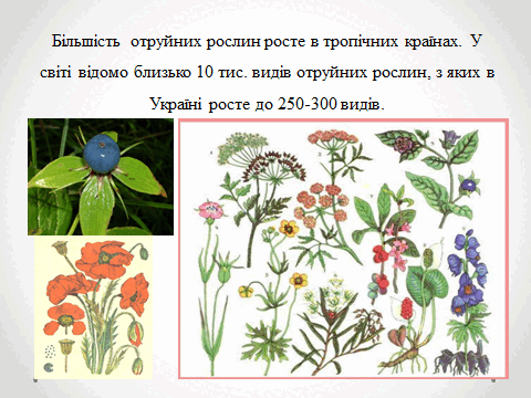 05010vke-b585-480x360.png