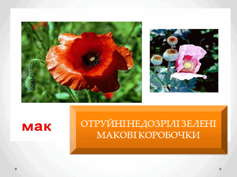 05010vkf-de08-480x360.png
