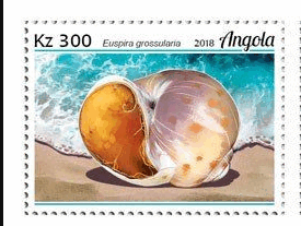 05010vyq-3246-275x207.png