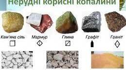 Рудні корисні копалини. Родовища залізної, марганцевої, уранової руд.   Родовища нерудної сировини, коштовного каміння. Мінеральні води та грязі. Господарська оцінка мінерально-сировинних ресурсів.