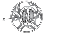 0501108g-68dc-276x141.png