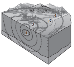 050111t7-8e1e-257x234.png