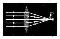 050112th-20fd-199x131.png