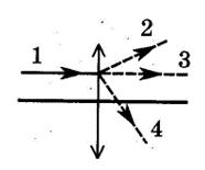050112vv-3e10-186x155.png