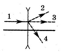 050112xk-2751-208x173.png