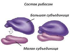 0501133m-2d12-262x192.jpg