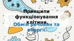 Принципи функціонування клітини