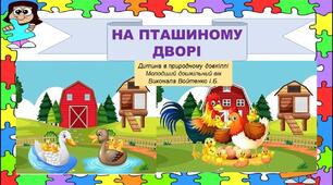 Конспект та презентація на тему "На пташиному дворі". Дитина в природному довкіллі. Молодший дошкільний вік.