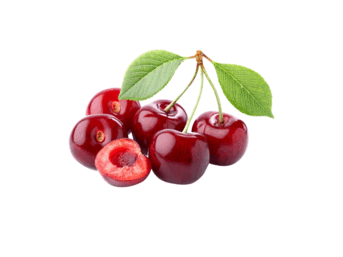 050117sk-5347-343x257.png