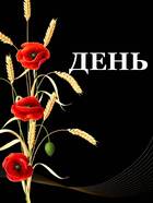 0501183p-3fc5-140x186.jpg