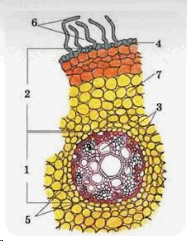 0501187a-0144-234x302.png