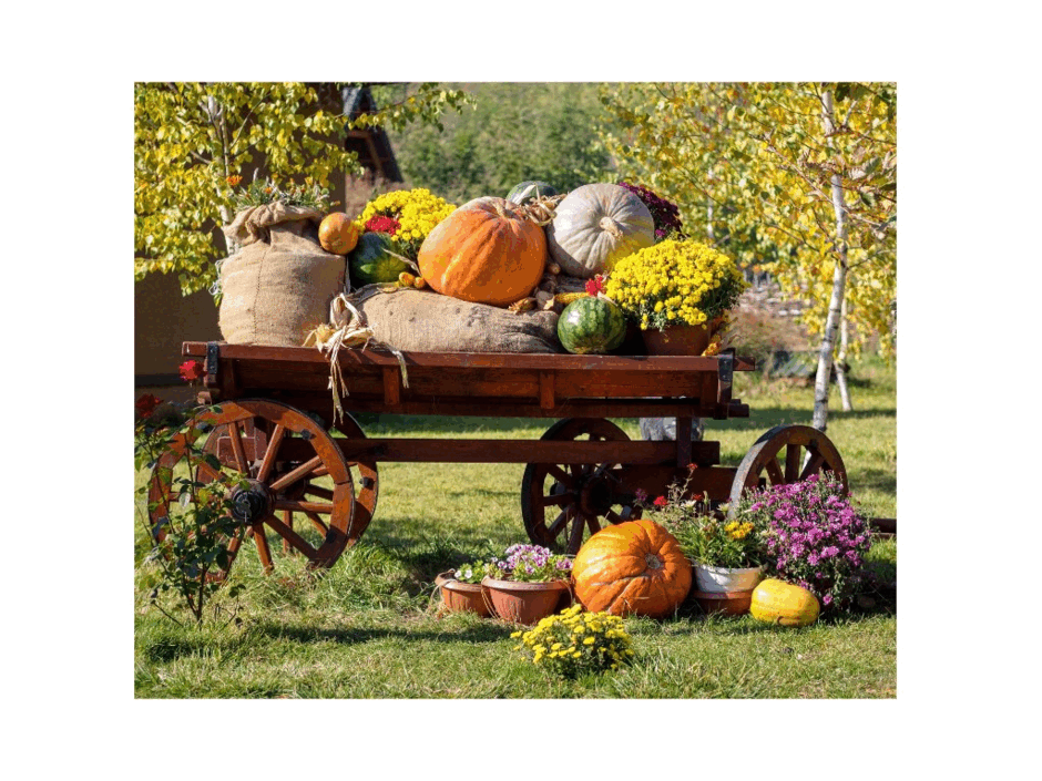 0501188c-2562-940x705.png