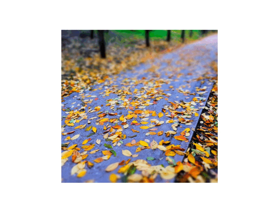 0501188i-c532-940x705.png