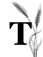 050118fs-3499-145x193.jpg
