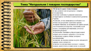 Натуральне і товарне господарства. 6 клас (НУШ). За підручником авторів Щупак І., Власова Н. та інші.
