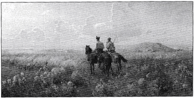 050119f6-61e0-390x197.png