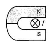 050119iq-d6a3-185x150.jpg