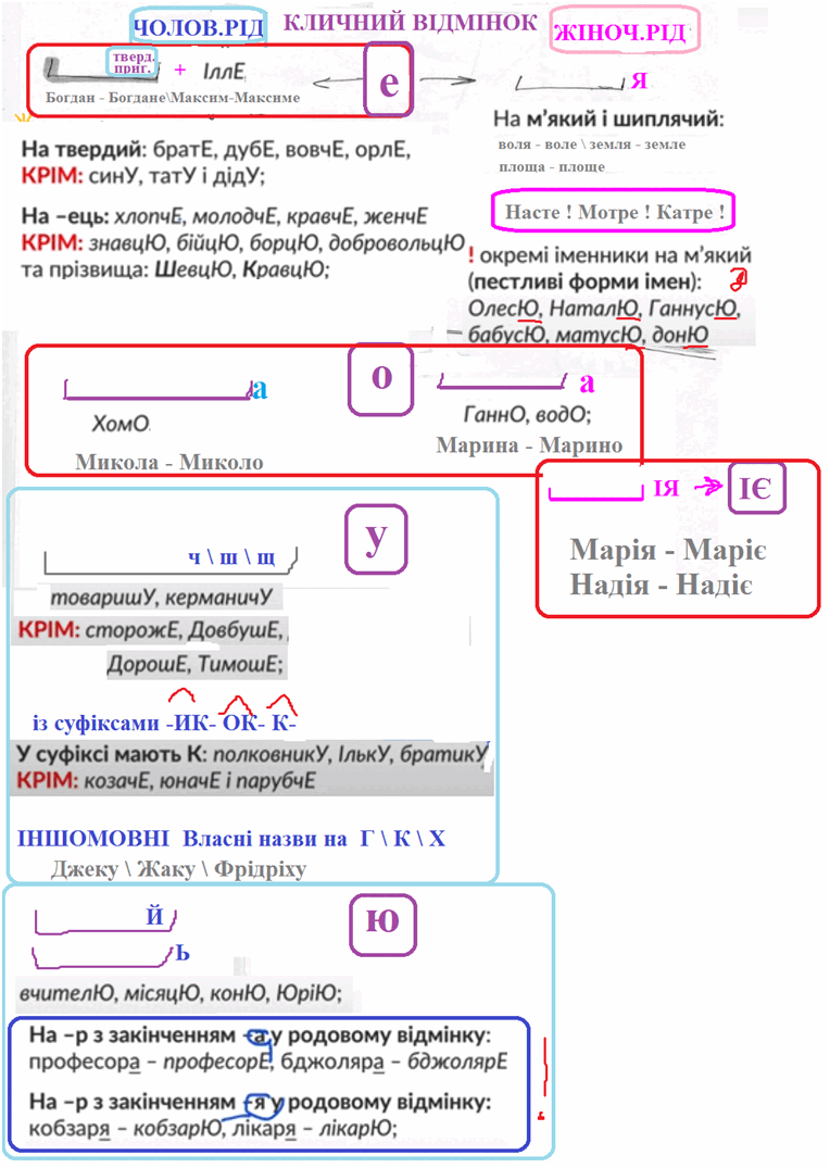 050119u7-4429-764x1075.png