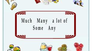 GRAMMAR TEST "Some / any, a / an, lots of"
