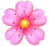 05011gz2-e81d-71x66.png