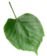 05011gz5-ce27-67x79.png