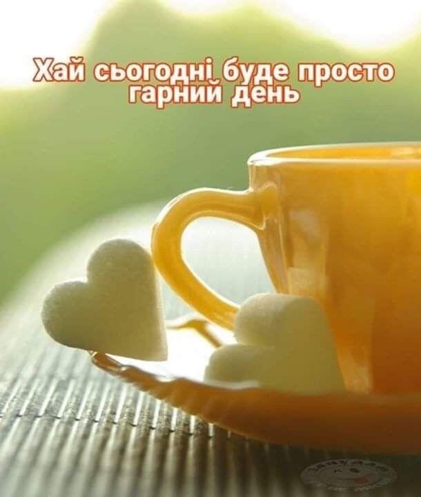 05011h9x-e18d-610x720.jpg
