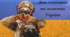Презентація "День захисників та захисниць України"
