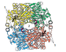 05011jp9-2d95-221x173.png