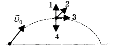 05011lau-0d03-384x159.png