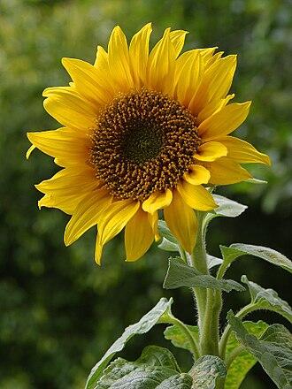 05011mv9-a9cf-330x440.jpg
