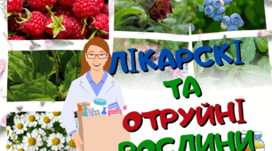 Лікарські та отруйні рослини. Тест. 4 клас