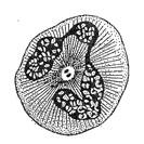 05011o16-1f6a-133x133.jpg
