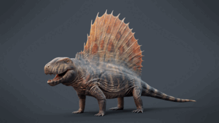 синапсида Dimetrodon grandis (перм)