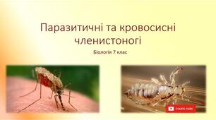 (Копія) Паразитичні та кровосисні членистоногі