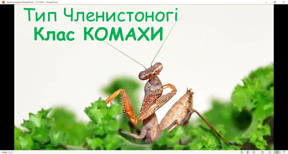 05011p9w-65de-940x503.png