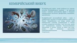Кембрійський вибух. Різноманітність форм давніх тварин. Дослідження «Жалкі — примітивні багатоклітинні тварини».