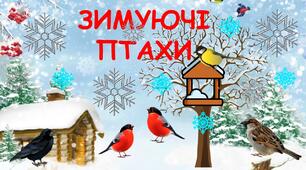 Зимуючі птахи. Презентація (анімована ) + конспект та мета заняття додається. Заняття з розвитку мовлення для дітей дошкільного віку.