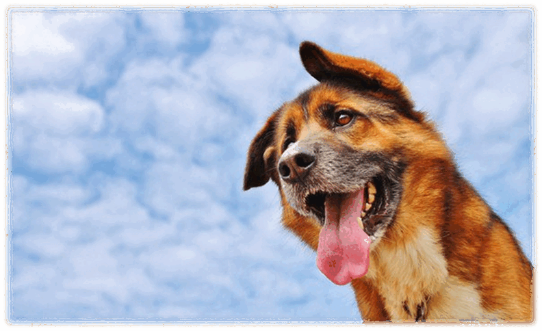 05011skw-9472-792x484.png