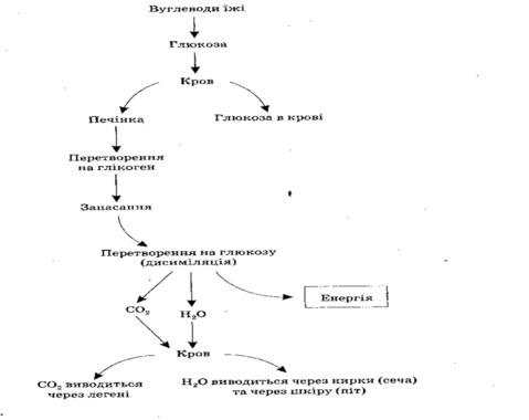 05011tbv-f790-479x380.png