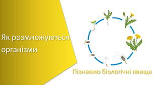Презентація з уроку Пізнаємо природу для 6 класу на тему «Як розмножуються організми»