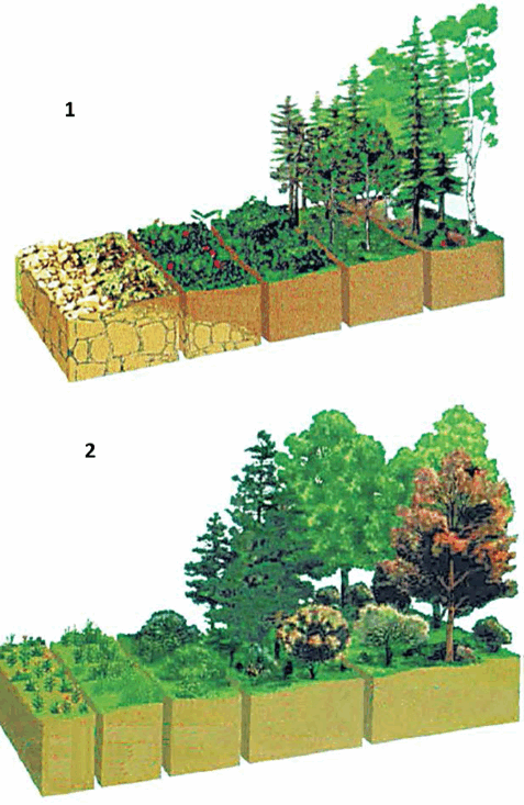 050120qc-42a1-477x733.png