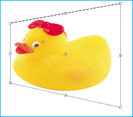 050120t7-2e87-427x375.png