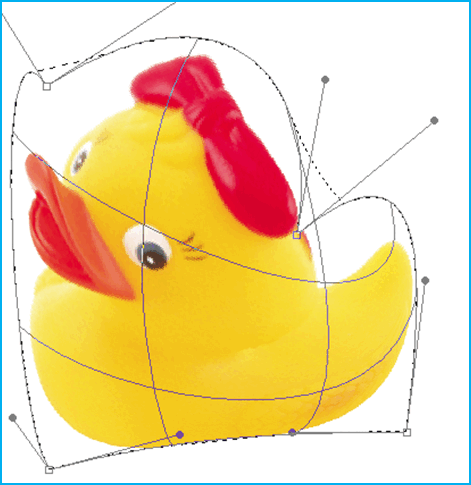050120t9-1667-471x485.png