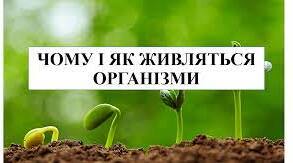 Презентація " Чомy i як живляться органiзми"