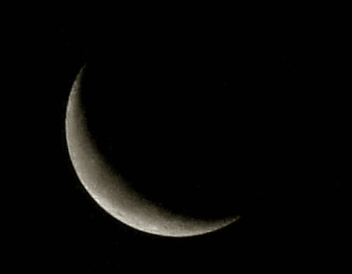 0501245x-c000-495x385.png