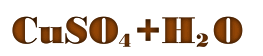 050126zz-7534-263x56.png