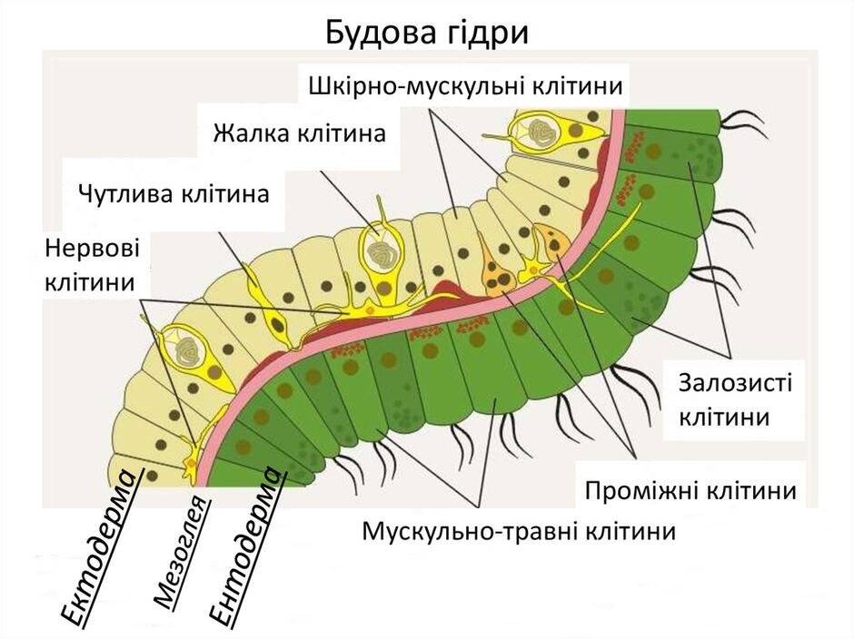 0501282y-4778-940x704.jpg