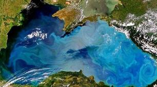 Які скарби приховує Чорне море?