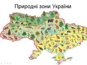 05012b99-3f03-290x217.jpg